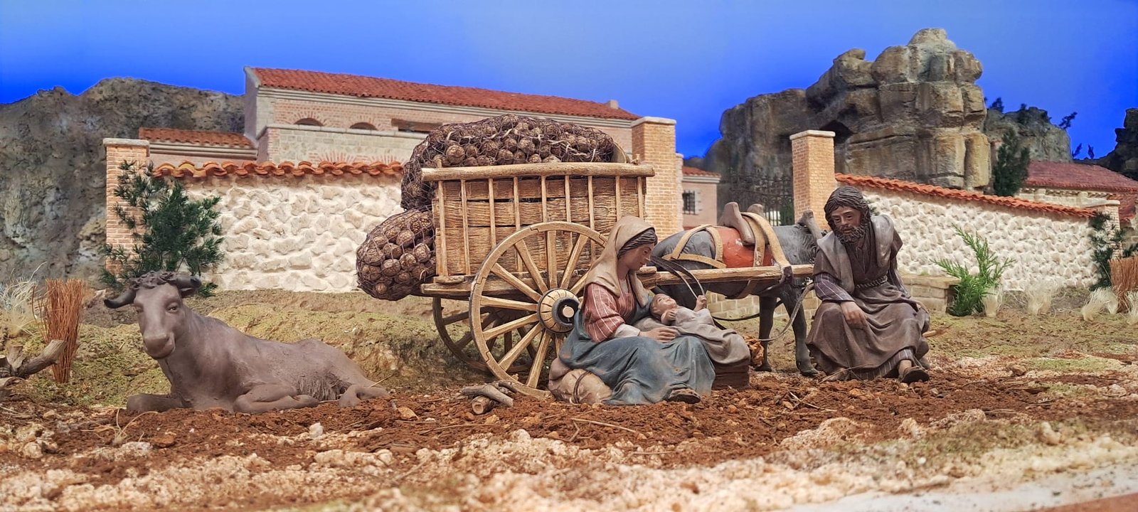 Ribera del Duero - Imagen 9
