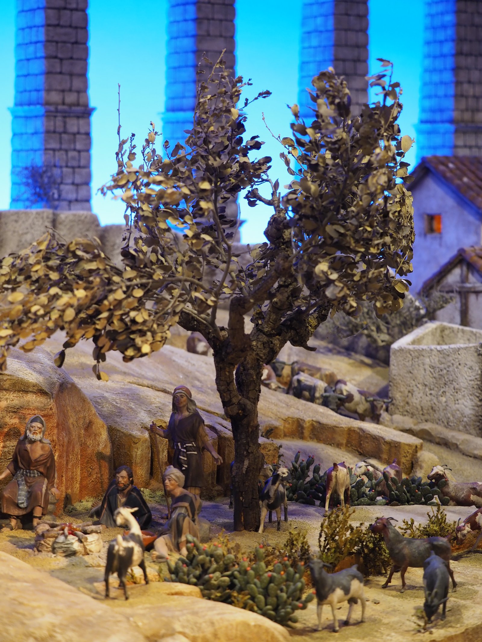 Segovia - Imagen 19